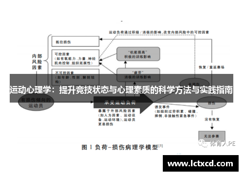 运动心理学：提升竞技状态与心理素质的科学方法与实践指南